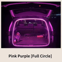 4M Pink Purple